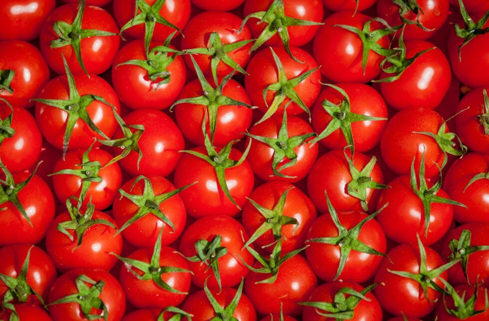 828adbfc6467e18954d73d1ed9746f56