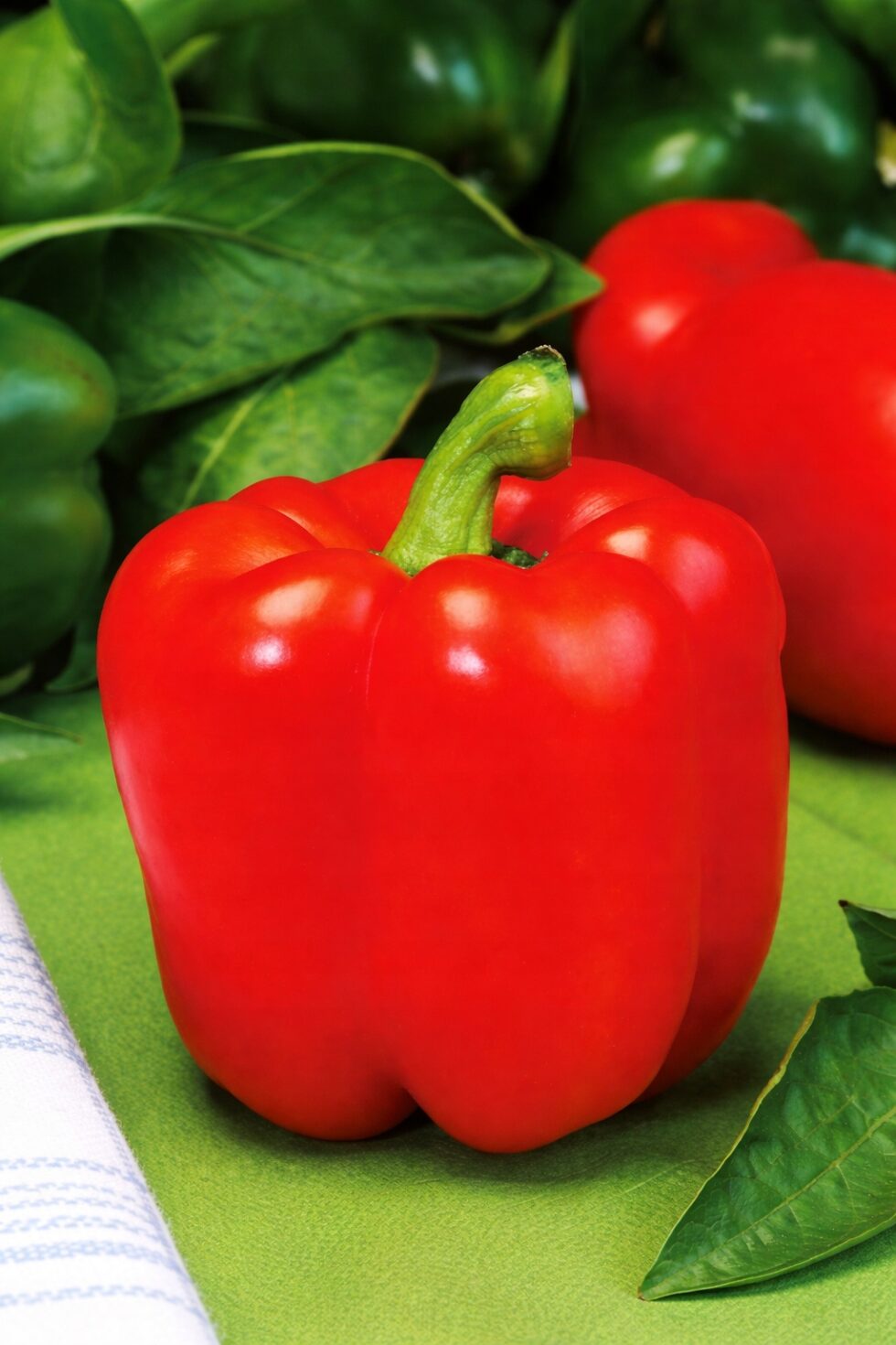 8299bdee03746429461bdb216b04a2b8