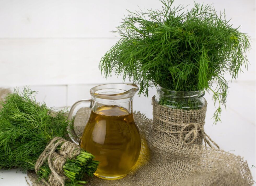 69f9fc466d0bdd622940cfc350dee089