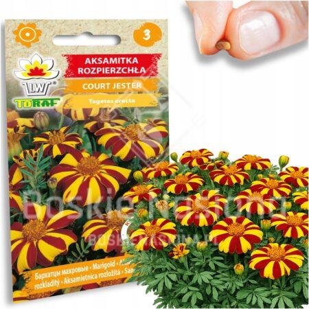 28f639563acae74409eefe2644361b7d