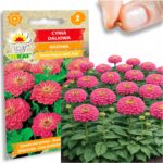 b46eea310bf816a159d0c715ef430886