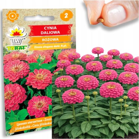 b46eea310bf816a159d0c715ef430886