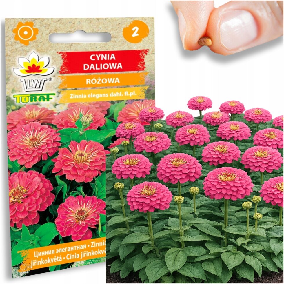 b46eea310bf816a159d0c715ef430886