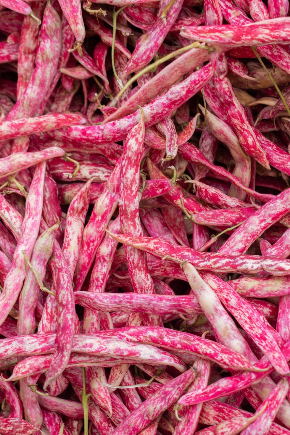 c594c41439cb49525c99d8a304cf9394