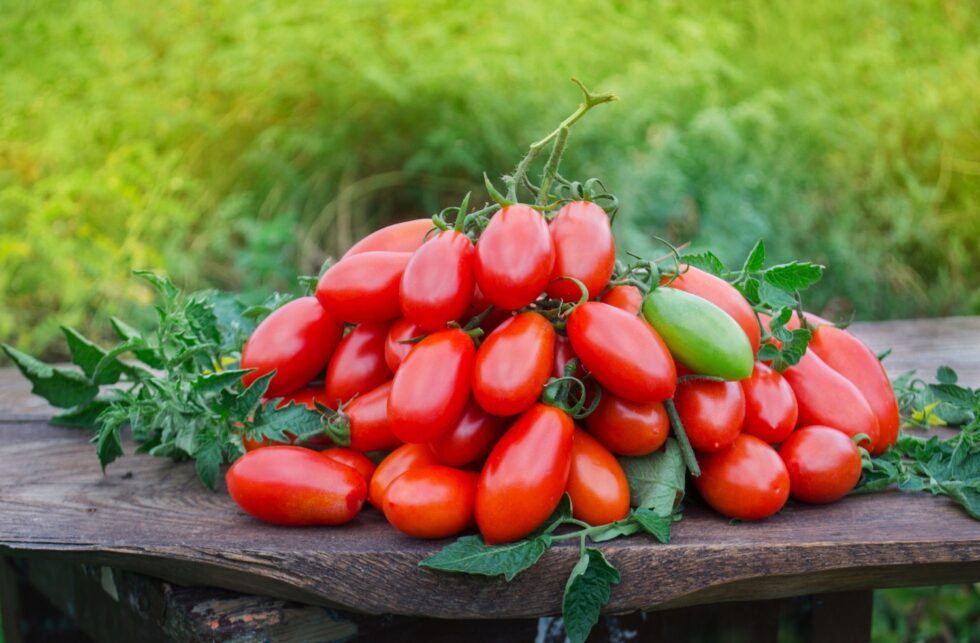 f41506208d14aa1c398fa17cc6265d25