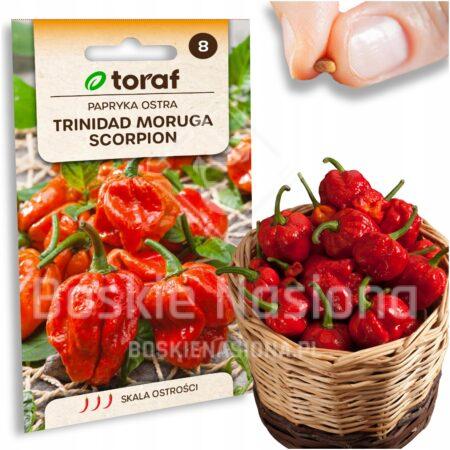 c82e0904c988edebf17ca0acd66e49ea