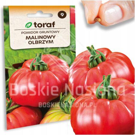 be577966868155f7d3f3aa0dcb28cd28