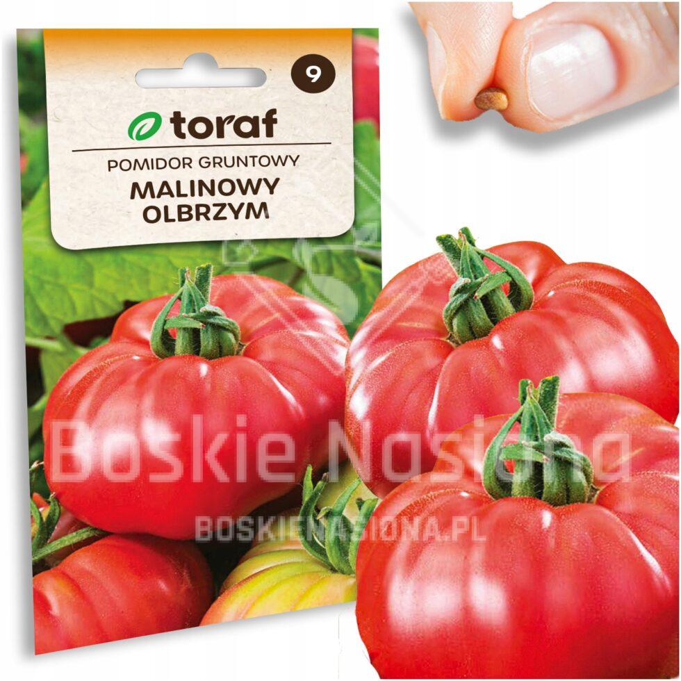 be577966868155f7d3f3aa0dcb28cd28