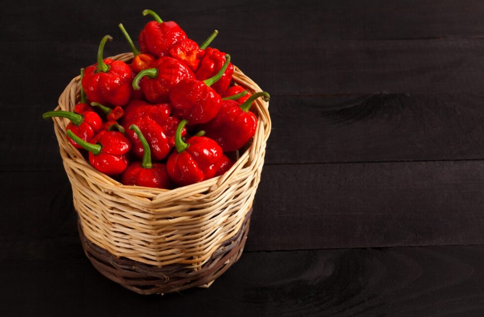 2252f37c8ed948b83740b50c2af7ac4f